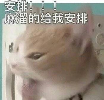 表情包