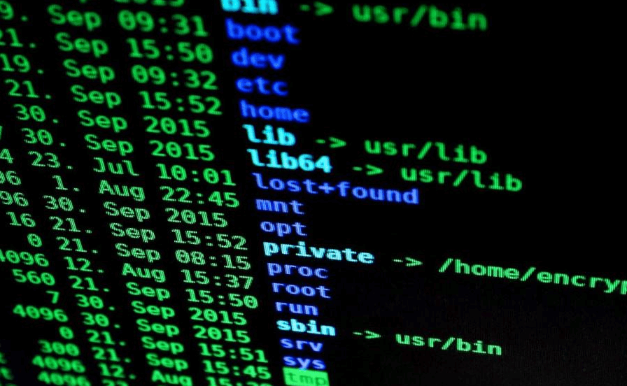 Linux入门基础知识