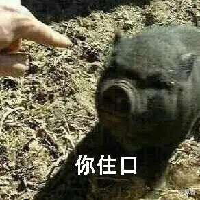 8.表情包.jpg 8.表情包.jpg