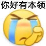 13.你好有本领.jpg 13.你好有本领.jpg