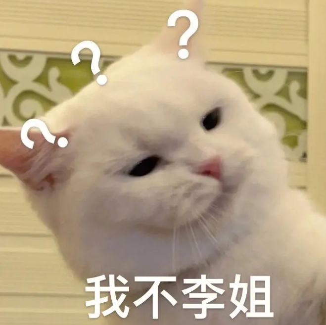 我不李姐表情包.jpg 我不李姐表情包.jpg