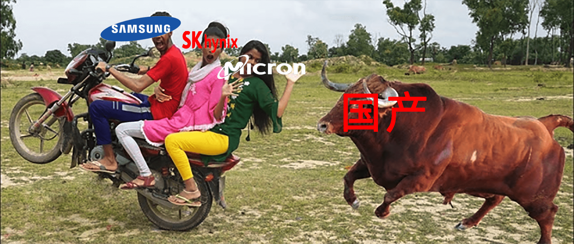 SSD 售价上涨翻倍，国内公布单块超 1000TB 储存「巨物」