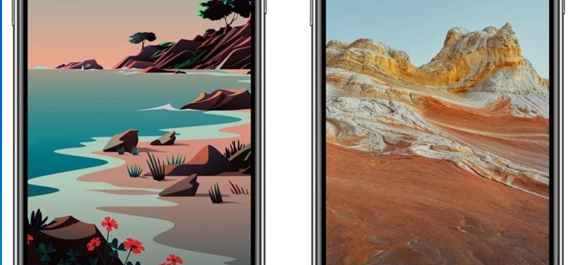 iOS 14.1正式版更新，测试版也不甘落后