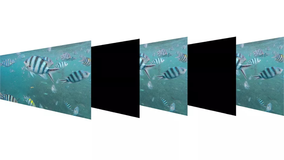 JX60-1618198042 bfi-and-refresh-rate.jpg