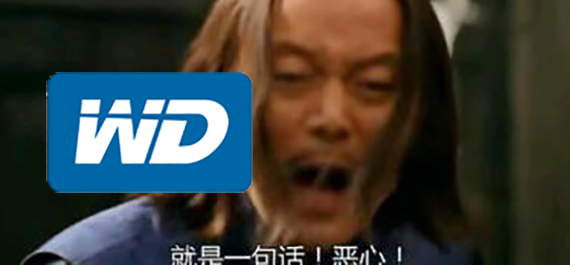 存储巨头西数竟然也替换 SSD 颗粒？近期买 SSD 的用户小心了