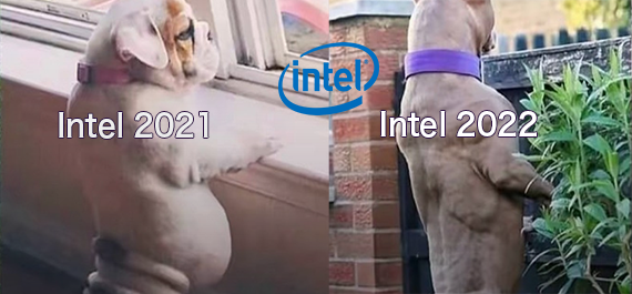 28W 低功耗 i5-1250P 性能超锐龙 5600X，Intel 12代的硬菜原来还没发