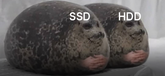 SSD 逃不过掉速？固态硬盘的缓存先了解下