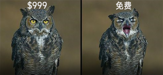 订阅制付费成潮流，各家纷纷效仿国内套路