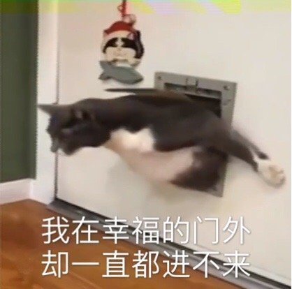 表情包 表情包