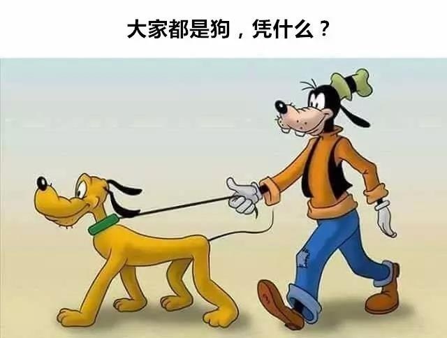 表情包
