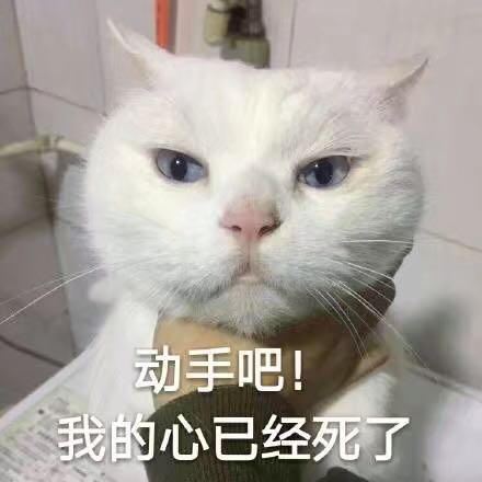表情包