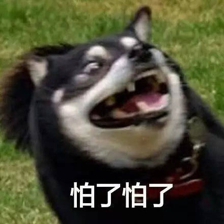 表情包 表情包