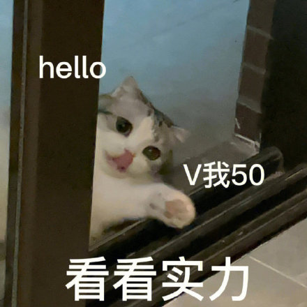 表情包