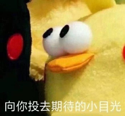表情包 表情包