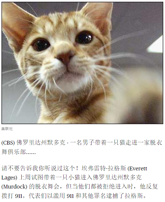 带猫进俱乐部.png