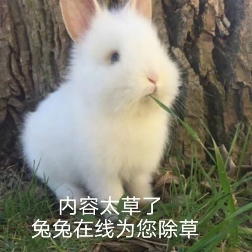 006APoFYly8hdu3rdp6nsj30dw0dw3zk.jpg 006APoFYly8hdu3rdp6nsj30dw0dw3zk.jpg