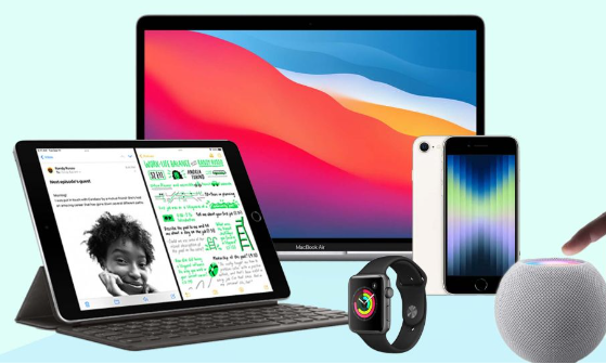 Nh15-1683795097 image.png