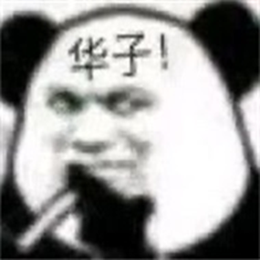 wifi信号满格却无法上网  wifi信号满格却无法上网