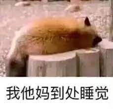 到处睡觉.jpg 到处睡觉.jpg