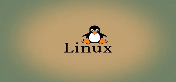 怎么汉化linux?教您将Linux设置为中文