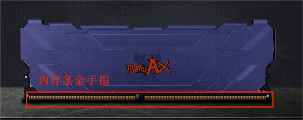 内存条金手指