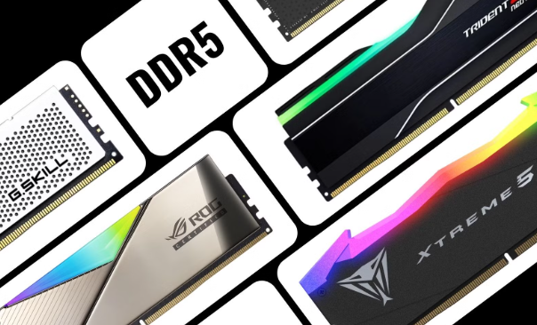 开年值得剁手的DDR5/4内存条推荐