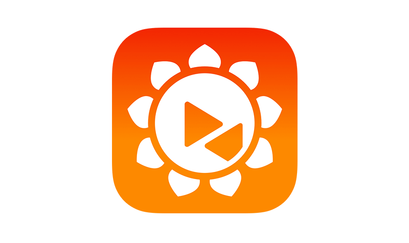 向日葵.png 向日葵.png