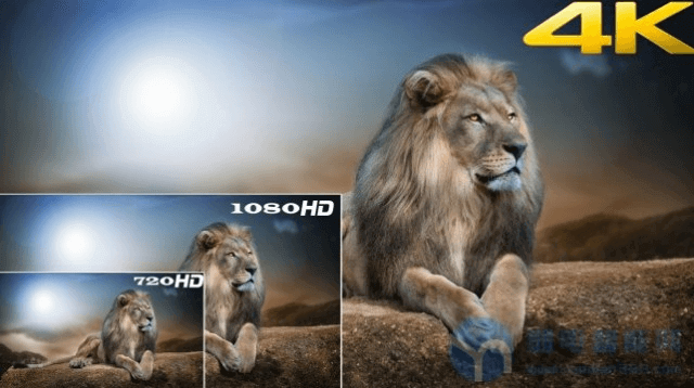 图片4.照片清晰度对比.png 图片4.照片清晰度对比.png