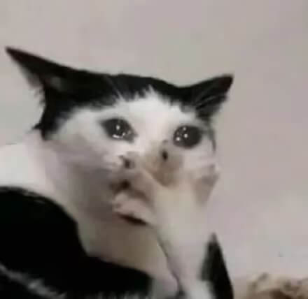 f178b3cb-50dc-4bab-9781-e9b7356a31e8.jpg f178b3cb-50dc-4bab-9781-e9b7356a31e8.jpg