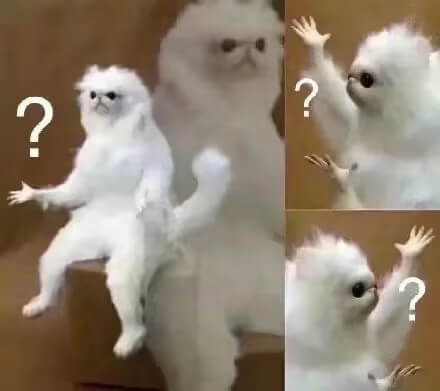 89ba4888-6c7c-4989-8688-4cb45aaea3cb.jpg 89ba4888-6c7c-4989-8688-4cb45aaea3cb.jpg