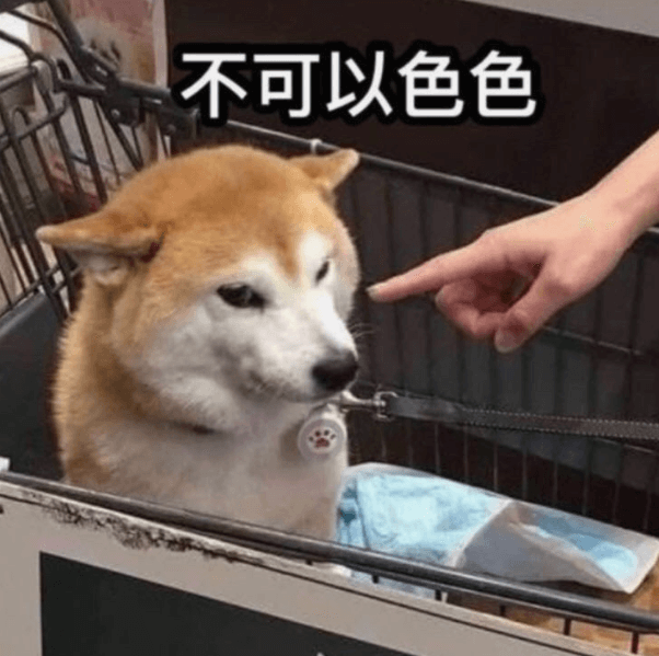 表情包 表情包