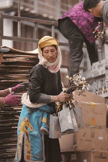 矿场清退 矿场清退