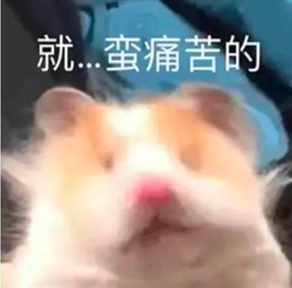 表情包.jpg 表情包.jpg