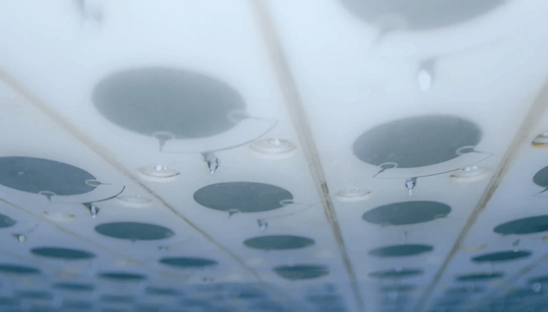 图片5.天线阵列.png 图片5.天线阵列.png