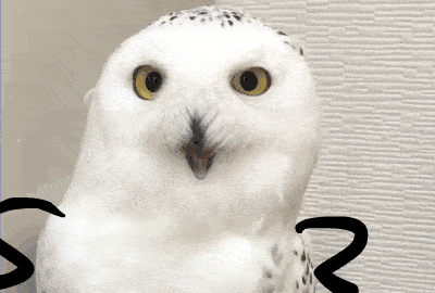 steam硬件调查-6.gif steam硬件调查-6.gif