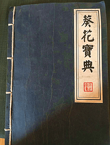 验证码-5.png 验证码-5.png