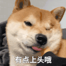 小米12爆料-6.gif 小米12爆料-6.gif