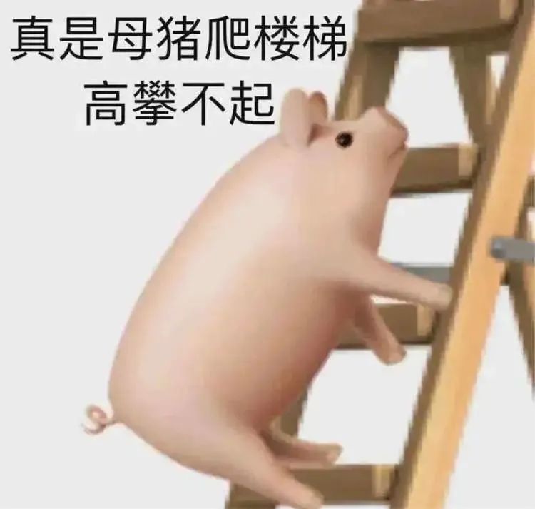 表情包
