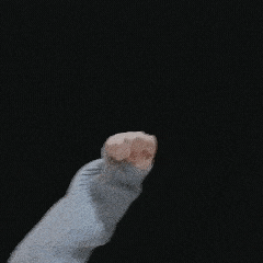 Windows软件自启-1.gif Windows软件自启-1.gif