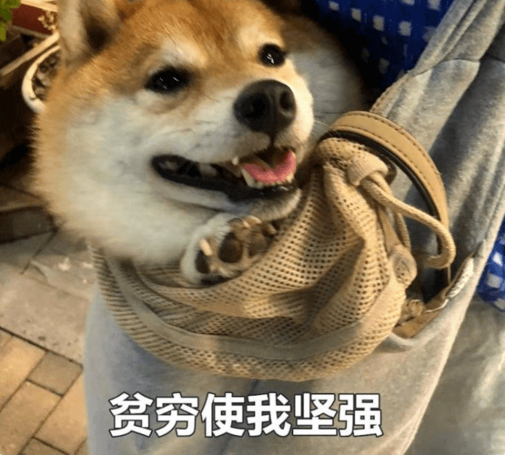 碎屏险-16.png 碎屏险-16.png