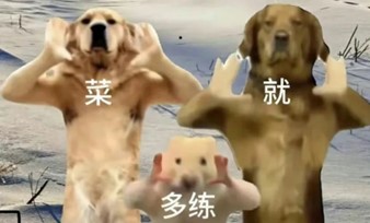 Windows11-24H2 Windows11-24H2