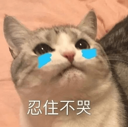 碎屏险-2.png 碎屏险-2.png