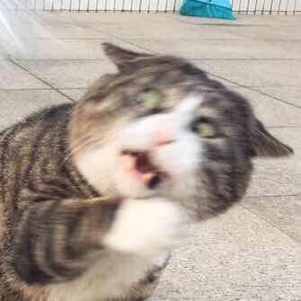 100MB大小的Win11 100MB大小的Win11