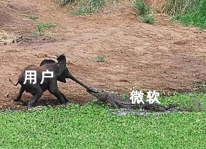 Win11-LTSC版本 Win11-LTSC版本