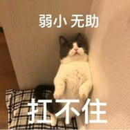 Win11-LTSC版本 Win11-LTSC版本