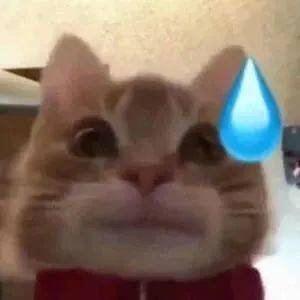 02b2ac95f5854f248802e3ba922dd36a.jpg 02b2ac95f5854f248802e3ba922dd36a.jpg