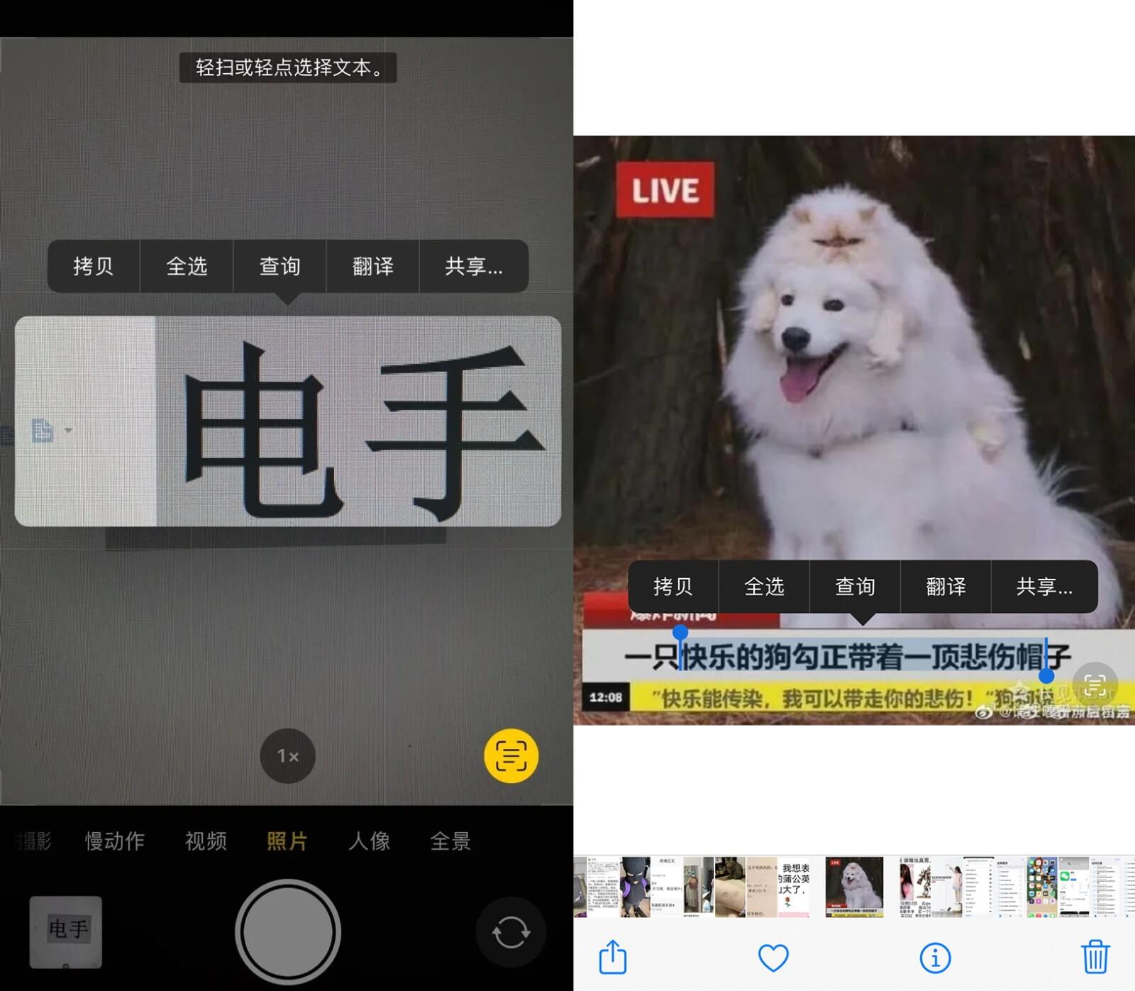 实况文本 实况文本