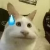 修改软件默认安装位置-1.jpg 修改软件默认安装位置-1.jpg