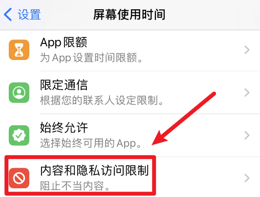 图片3.内容和隐私访问限制.png