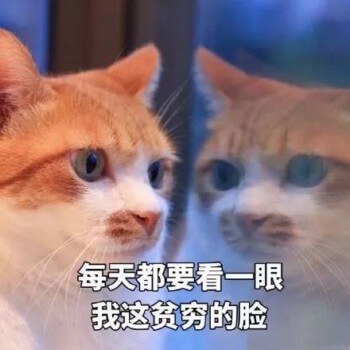 DDR5-9.jpg DDR5-9.jpg